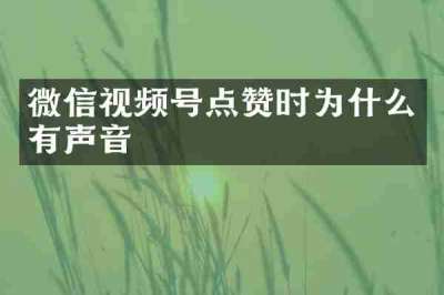微信视频号点赞时为什么有声音