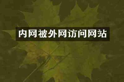内网被外网访问网站
