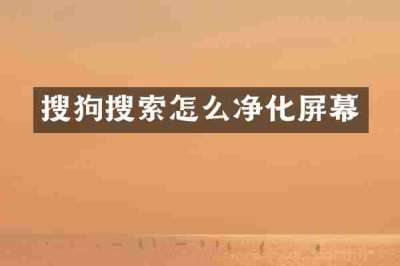 搜狗搜索怎么净化屏幕