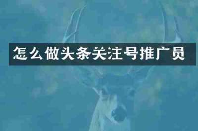 怎么做头条关注号推广员