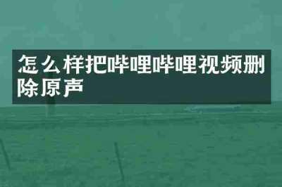 怎么样把哔哩哔哩视频删除原声