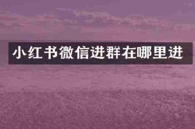 小红书微信进群在哪里进