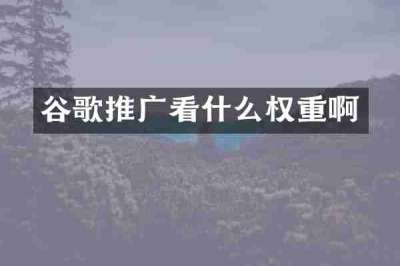谷歌推广看什么权重啊