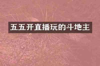 五五开直播玩的斗地主