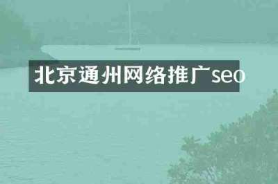 北京通州网络推广seo