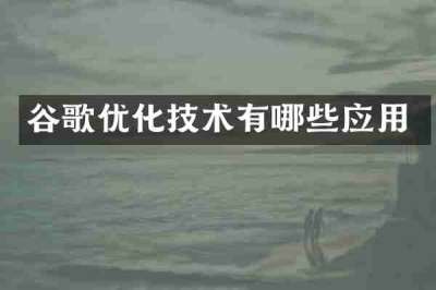 谷歌优化技术有哪些应用