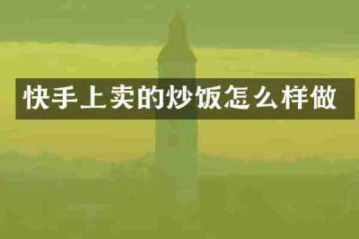 快手上卖的炒饭怎么样做