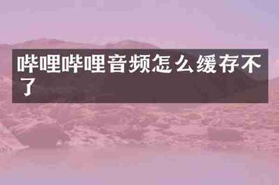 哔哩哔哩音频怎么缓存不了