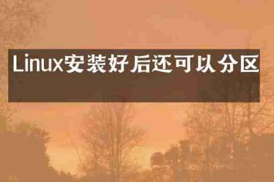 Linux安装好后还可以分区吗