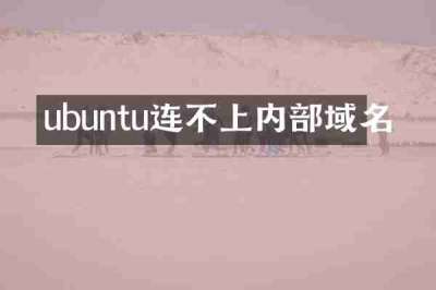 ubuntu连不上内部域名