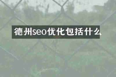 德州seo优化包括什么