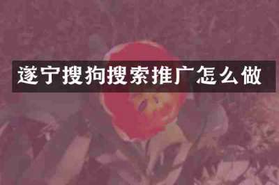 遂宁搜狗搜索推广怎么做