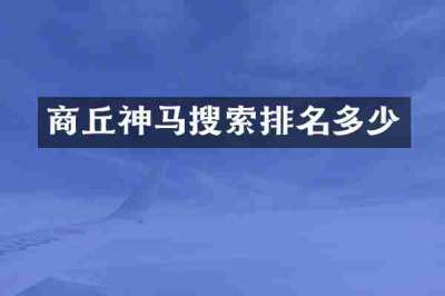 商丘神马搜索排名多少