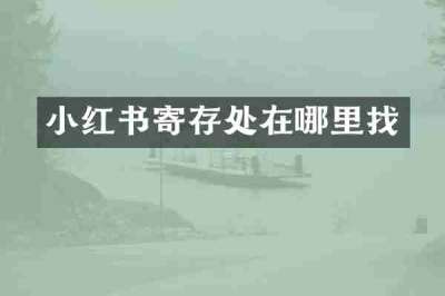 小红书寄存处在哪里找