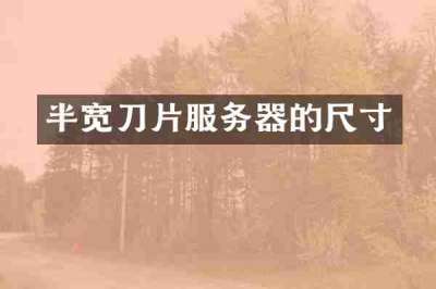 半宽刀片服务器的尺寸