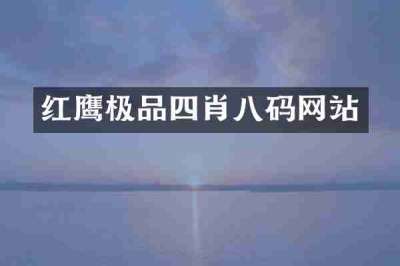红鹰极品四肖八码网站