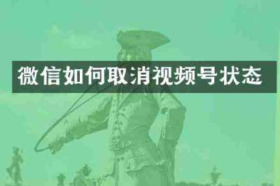 微信如何取消视频号状态