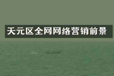 天元区全网网络营销前景