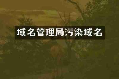 域名管理局污染域名