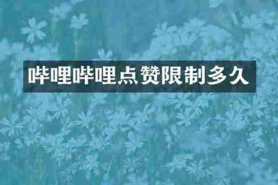 哔哩哔哩点赞限制多久