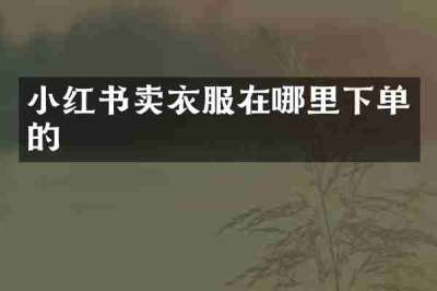 小红书卖衣服在哪里下单的