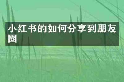 小红书的如何分享到朋友圈