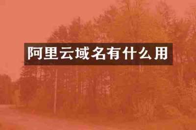 阿里云域名有什么用
