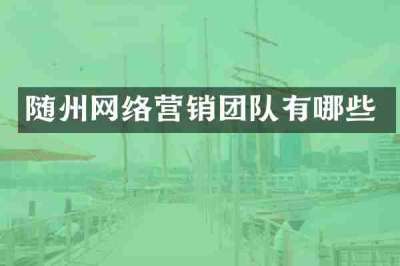 随州网络营销团队有哪些