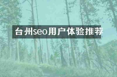 台州seo用户体验推荐