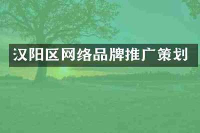 汉阳区网络品牌推广策划