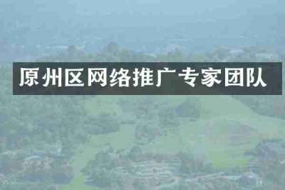 原州区网络推广专家团队