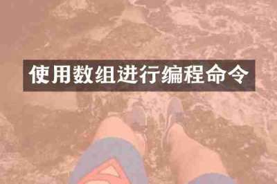 使用数组进行编程命令
