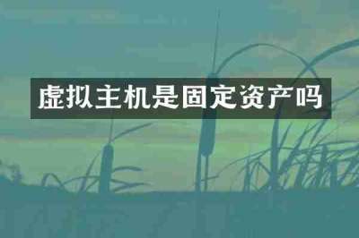 虚拟主机是固定资产吗