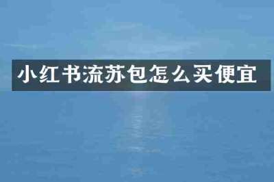 小红书流苏包怎么买便宜
