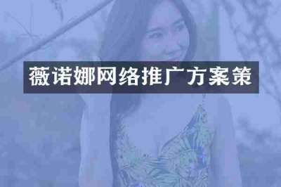 薇诺娜网络推广方案策