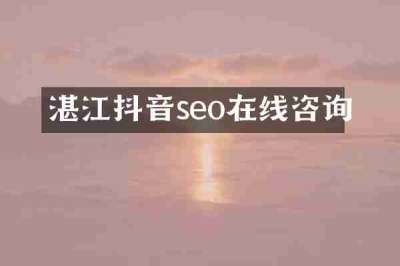 湛江抖音seo在线咨询