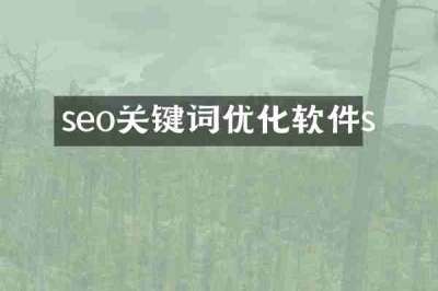 seo关键词优化软件s