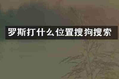 罗斯打什么位置搜狗搜索