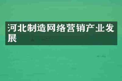 河北制造网络营销产业发展