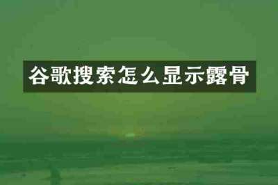谷歌搜索怎么显示露骨
