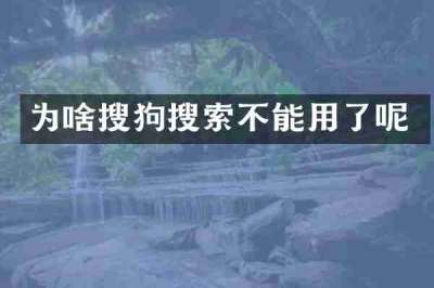 为啥搜狗搜索不能用了呢