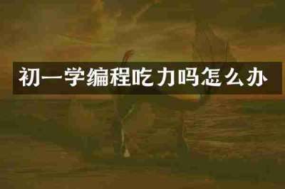初一学编程吃力吗怎么办
