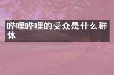 哔哩哔哩的受众是什么群体