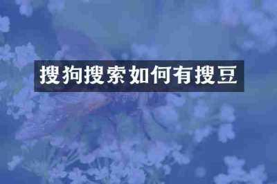 搜狗搜索如何有搜豆
