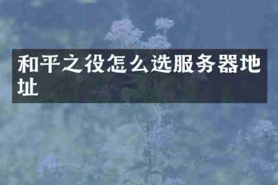 和平之役怎么选服务器地址