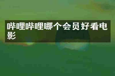 哔哩哔哩哪个会员好看电影