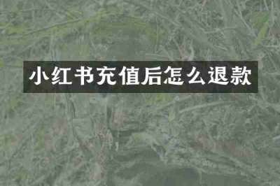 小红书充值后怎么退款
