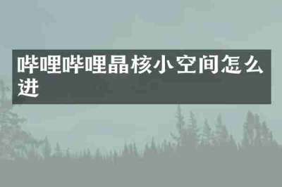 哔哩哔哩晶核小空间怎么进