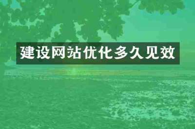 建设网站优化多久见效