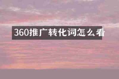360推广转化词怎么看